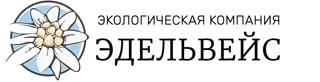 Корпоративный сайт